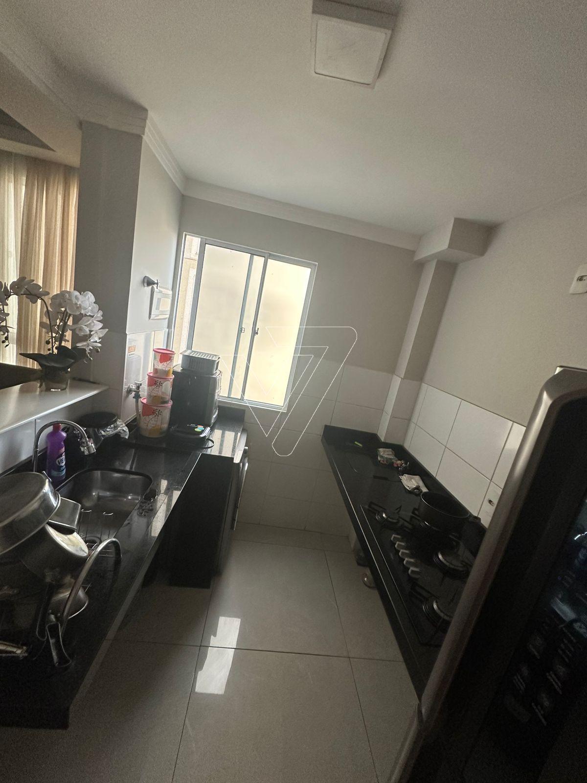 WhatsApp Image 2025-06-17 at 11.30.30