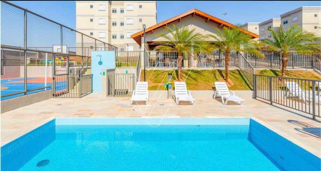 IMG-20250828-WA0042