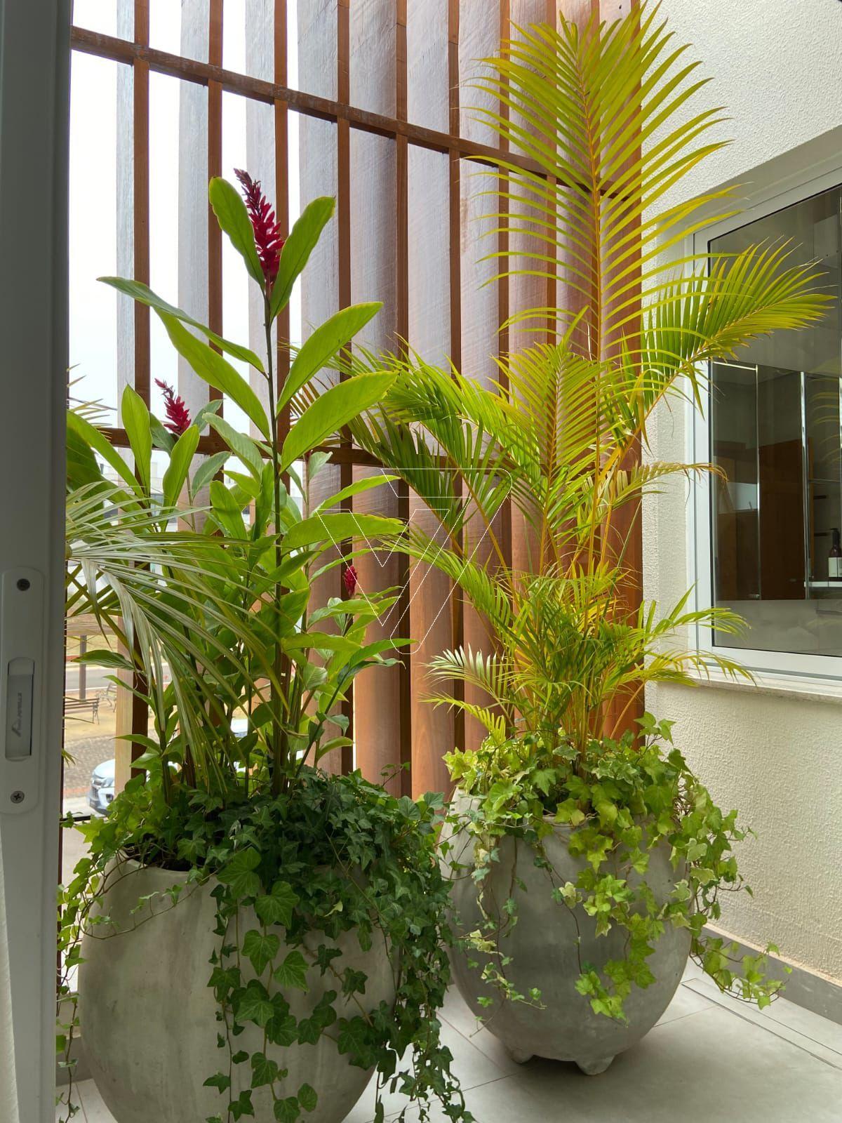 Imagem do WhatsApp de 2025-09-04 à(s) 13.47.37_d9e9605a