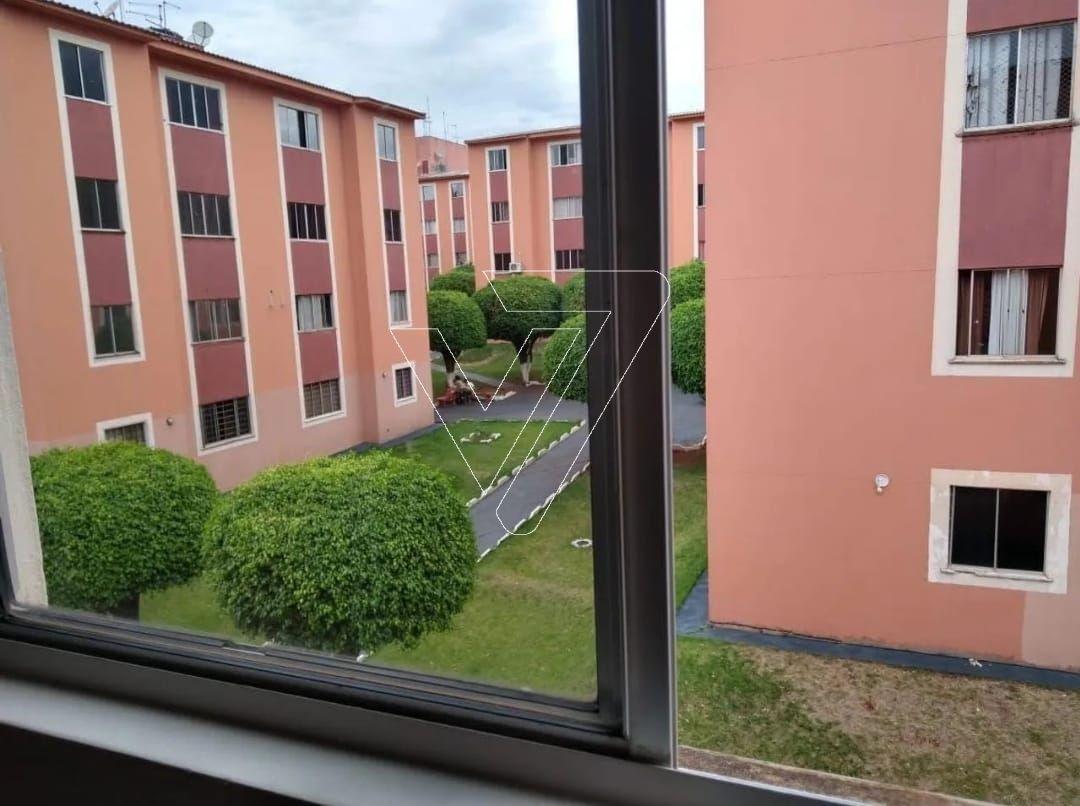 Imagem do WhatsApp de 2025-10-03 à(s) 13.50.04_f7d7a95c