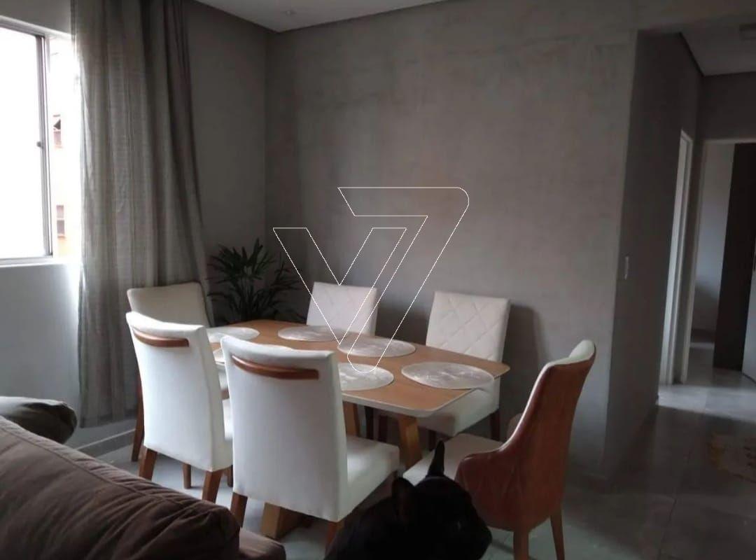 Imagem do WhatsApp de 2025-10-03 à(s) 13.50.04_ae071dc6